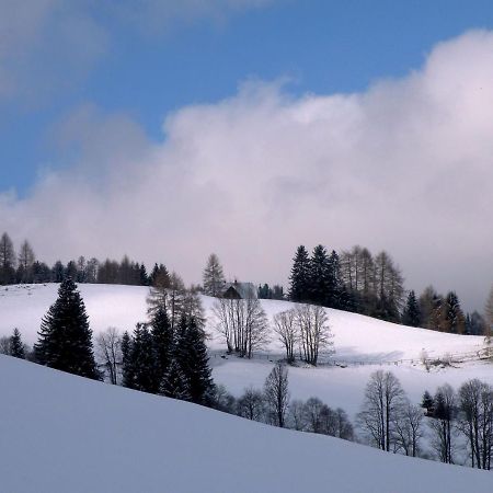 Villa Urlaub Im Zirbenland à Obdach Extérieur photo