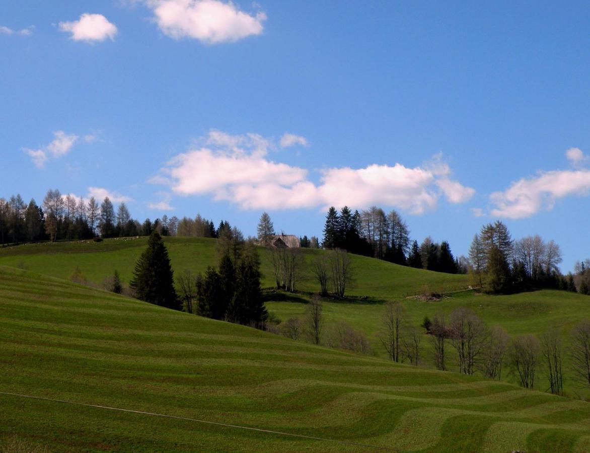 Villa Urlaub Im Zirbenland à Obdach Extérieur photo