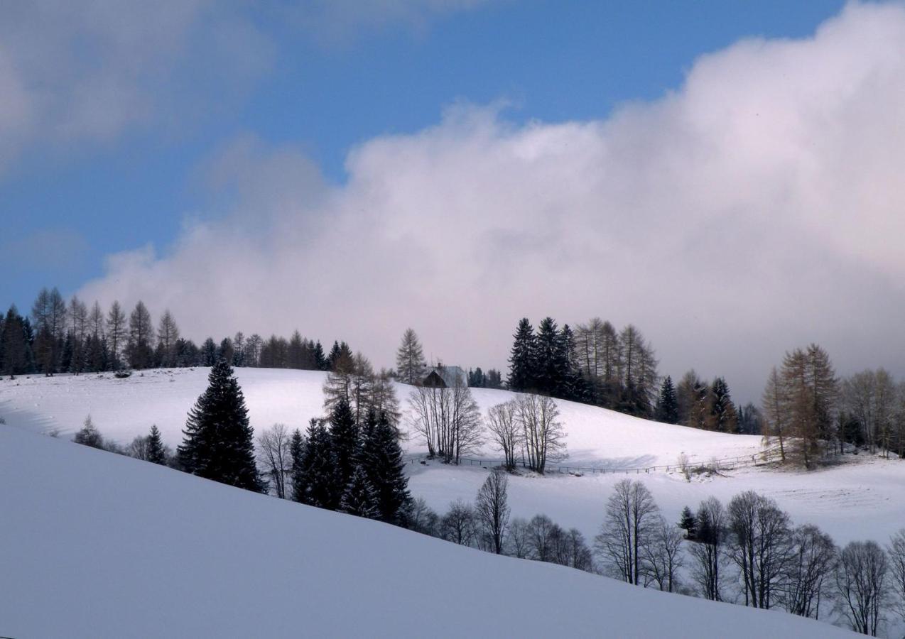 Villa Urlaub Im Zirbenland à Obdach Extérieur photo