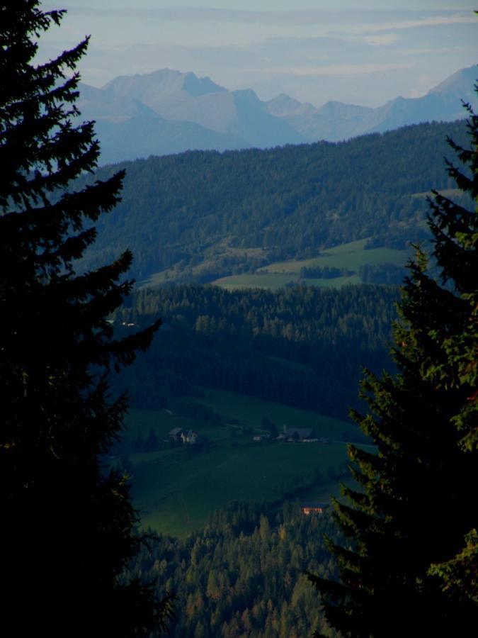 Villa Urlaub Im Zirbenland à Obdach Extérieur photo