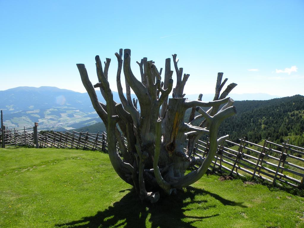 Villa Urlaub Im Zirbenland à Obdach Extérieur photo